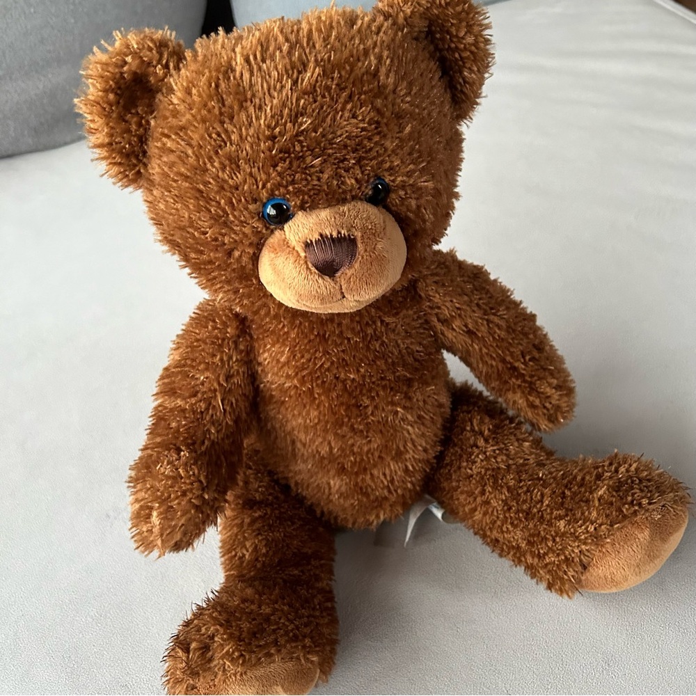 Build-A-Bear ~ Classic Brown Bear